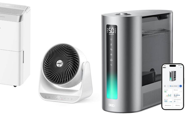 Balanced fashion choices combining style