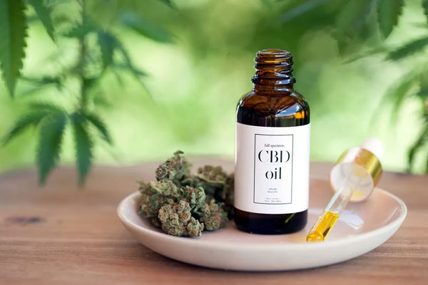 Exploring Cbd Armour Oil Benefits Daily Balance Wellbeing