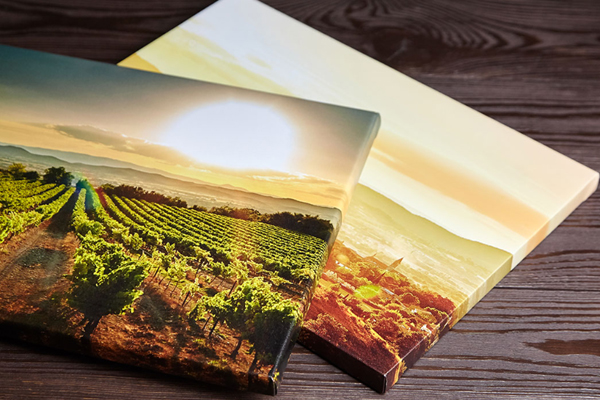 Home Art Haven Review Unique Canvas Prints Cushions